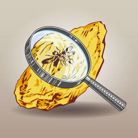 Piece of amber with insects preserving for hundreds of thousands of years viewing through a magnifying glass vector illustrationのイラスト素材