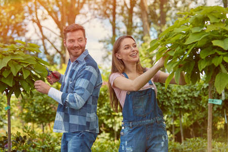 Male and female professional gardeners cutting leaves while taking care of plants in the garden.の写真素材