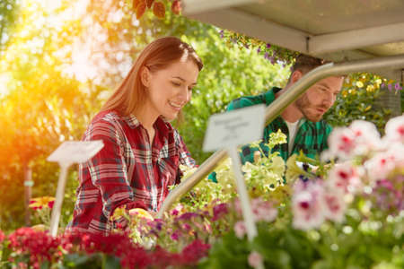 Side view of young man and woman coworkers taking care of flowers and plants in the garden in sunny day.の写真素材