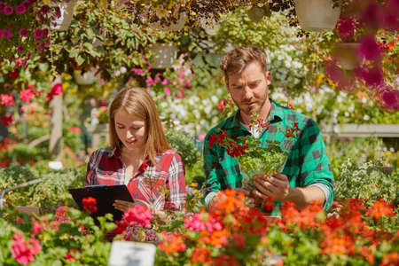 Male gardener standing with potted flower while female coworker doing paperwork in the garden.の写真素材