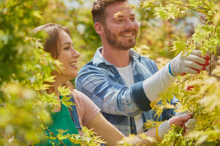 Male and female professional gardeners working and cutting branches and leaves of plants in the garden together.の写真素材