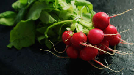 From above view of bunch of red ripe radish with green top on black background