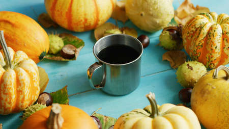 From above view of metal cup of coffee surrounded by orange pumpkins on blue wooden backgroundの写真素材
