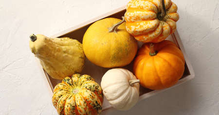 From above view of orange and white pumpkins of different sort laid in box on white background