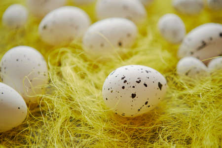 White Easter eggs with freckles placed on the yellow hay. Selective focus shot.の写真素材