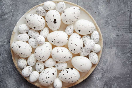 Composition of white traditional dotted Easter eggs in white ceramic plate placed on gray stone background. High angle shot.の写真素材