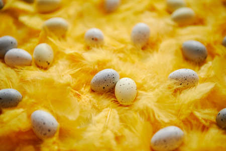 Composition of pastel colorful easter eggs lie among of yellow background feathers for Easter holidays. Flat lay. Top view.の写真素材