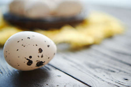 Close up on whole Chicken egg in front of nest on a black rustic wooden background with yellow feathers decoration. Easter holidays concept.の写真素材
