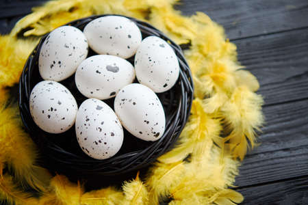 Whole Chicken eggs in a nest on a black rustic wooden background with yellow feathers decoration. Easter holidays concept.の写真素材