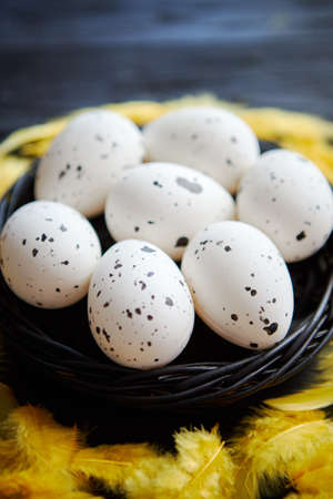 Whole Chicken eggs in a nest on a black rustic wooden background with yellow feathers decoration. Easter holidays concept.の写真素材