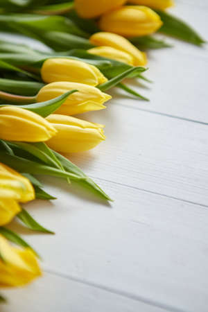 Composition of fresh tulips placed in row on white rustic wooden table. Spring theme with copy space. Selective focus.の写真素材