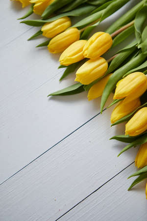 Row of fresh Yellow tulips on white wooden table. Top view, flat lay with space for you text.の写真素材