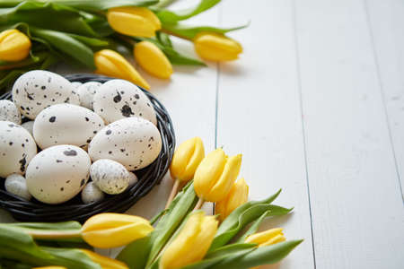 Beautiful yellow tulips with dotted quail and chicken eggs in nest on white wooden background. Spring and Easter holiday concept with copy space.の写真素材