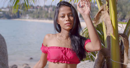 Tanned Asian lady traveler in stylish pink bikini touching leaf of palm and looking at camera with tropical seaside on blurred background at Phuketの写真素材
