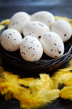 Whole Chicken eggs in a nest on a black rustic wooden background with yellow feathers decoration. Easter holidays concept.の写真素材