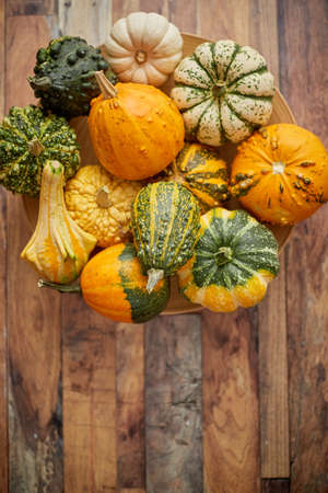 Decoration made from small pumpkins. Colored pumpkins in different varieties. Halloween pumpkins...