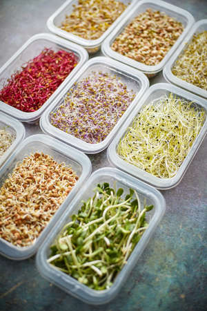 Various kind healthy microgreen sprouts in small packages placed on the stone backgroundの写真素材