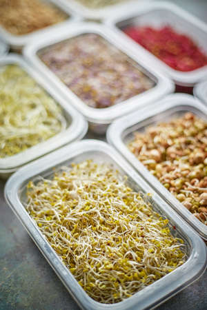 Various kind healthy microgreen sprouts in small packages placed on the stone backgroundの写真素材