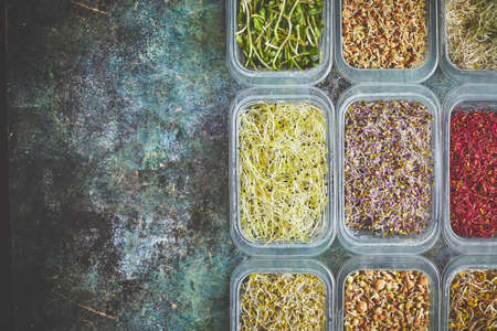 Set of containers with a varoius kinds micro green sprouts. Young shoots of onions, basil, peasの写真素材