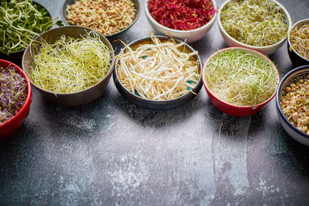 Various types of micro greens in colorful bowls on slate background. Fresh garden productsの写真素材