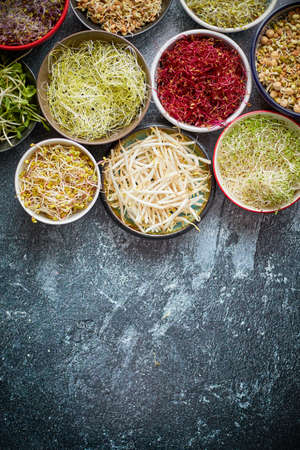 Various types of micro greens in colorful bowls on slate background. Fresh garden productsの写真素材