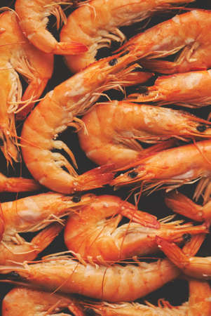Close up on boiled big sea prawns or shrimps placed on black ceramic plateの写真素材