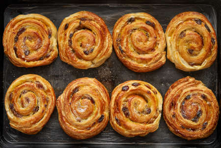 Homemade puff pastry cinnamon rolls with raisins placed on oven iron trayの写真素材
