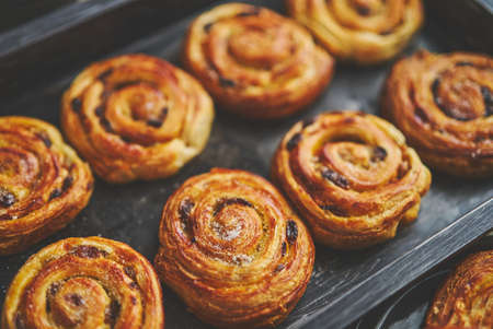 Homemade puff pastry cinnamon rolls with raisins placed on oven iron trayの写真素材