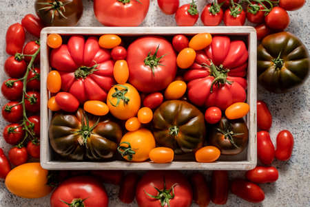 Assortment of tomatoes in a wooden boxの写真素材
