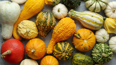 Colorful mini pumpkins on white background. Fall background. Halloween or Thanksgiving celebrationの写真素材