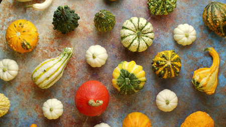 Colorful mini pumpkins on rusty background. Fall background. Halloween or Thanksgiving celebrationの写真素材