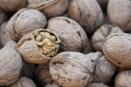 Walnuts. Close up
