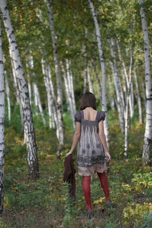 Forestの写真素材