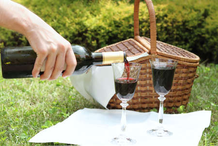 Outdoor picnic setting with wineの写真素材