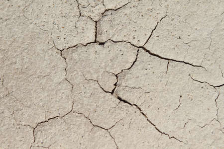Dry sand texture under the sunの写真素材