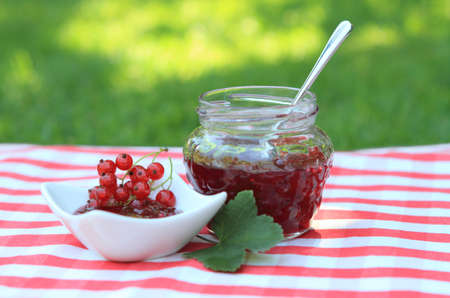 Jar of red currant jam on the napkinの写真素材