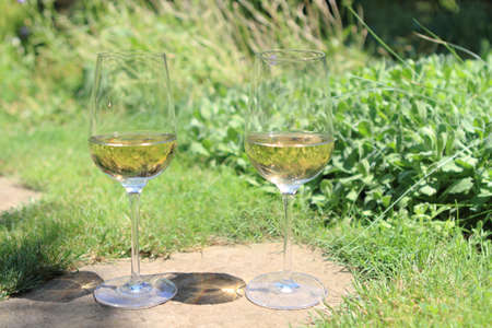 Two glasses with white wine in the gardenの写真素材