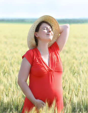 Happy pregnant woman in the summer wheat fieldの写真素材