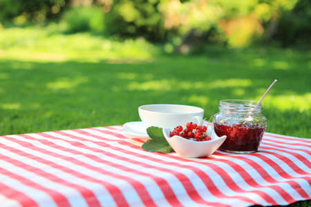 Red currant jam and tea in the summer gardenの写真素材