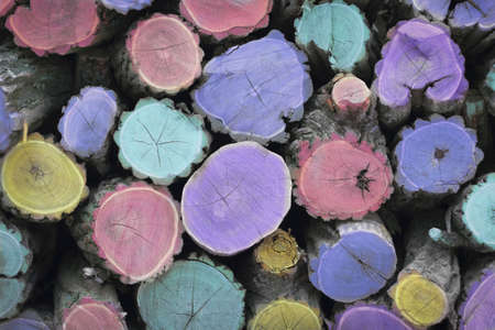 Fire wood. Multicolored woodstack backgroundの写真素材