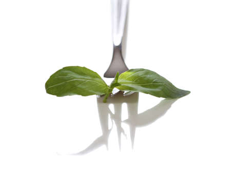 Fresh basil and dessert fork on white background の写真素材