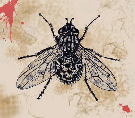 Beige abstract painting background with fly. Grunge patternの写真素材