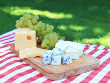 Various sorts of cheese with  white grapesの写真素材