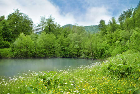 Beautiful mountain summer lake and daisy fieldの写真素材