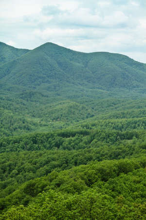 Green mountain and blue sky with cloudsの写真素材
