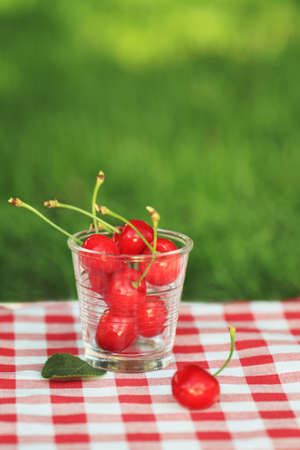 Some sweet cherries in the glass on the napkin の写真素材