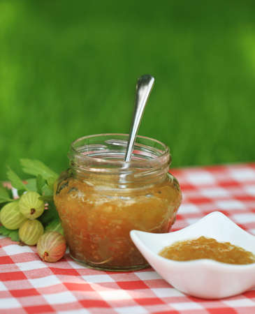 Jar of  gooseberry jam on the table in the summer gardenの写真素材