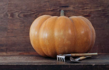 Pumpkin with garden tools on the wooden backgroundの写真素材