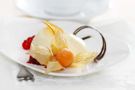 Panacotta. Classic italian dessert with red currant and physalisの写真素材