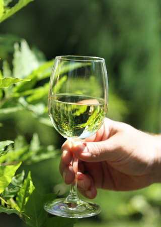 Celebration. Man holding glasses of white wine making a toastの写真素材
